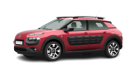 C4 Cactus